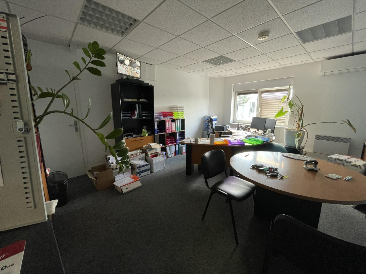 Local d'activité Mundolsheim 576m² Location local d'activité Mundolsheim Bas-Rhin OLACT2423735 16